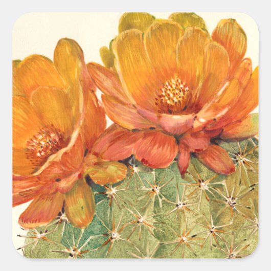 Cactus Oranje bloesems Vierkante Sticker (Voorkant)