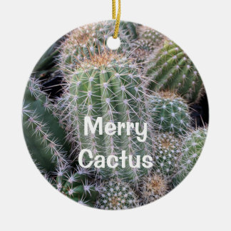 Cactus-Ornament Keramisch Ornament