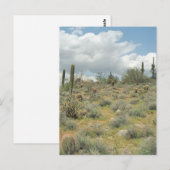 Cactus Pastoral Sweep Desert Photo Briefkaarten (Voorkant / Achterkant)