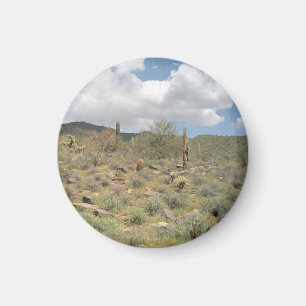 Cactus Pastorale Decoratieve Koelkast Magnet Magneet