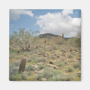 Cactus Pastorale Decoratieve Koelkast Magnet Magneet