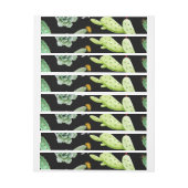 Cactus Patroon 2 (Vel)