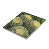 Cactus Pattern Tegeltje (Zijkant)