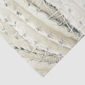 Cactus Photo Art Neutral Chic Moderne Woestijn Tissuepapier (Detail)