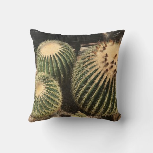 Cactus Pillow Kussen (Achterkant)