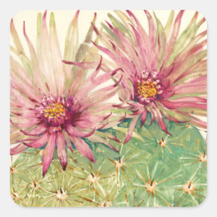 Cactus Pink Blossom Vierkante Sticker