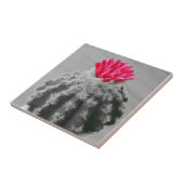 Cactus Plant zwart wit foto met roze bloem Tegeltje (Zijkant)