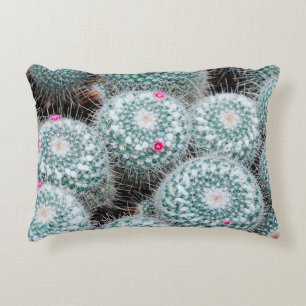 Cactus-Planten met kleine roze bloemen Accent Kussen