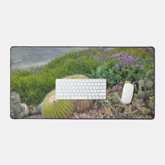 Cactus Plantes (Clavier et souris)