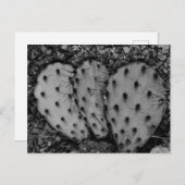 Cactus Portret B/W Foto Briefkaart (Voorkant / Achterkant)