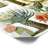 Cactus Poster (Hoek)