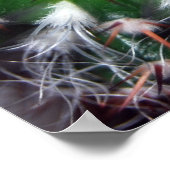 cactus poster (Hoek)