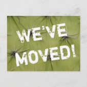 Cactus Prickley déplacer cartes postales (Devant)