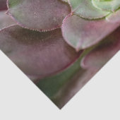 Cactus Print | Een woestijncactus-ventilator Tissuepapier (Detail)