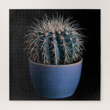 Cactus Puzzel