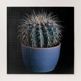 Cactus Puzzel