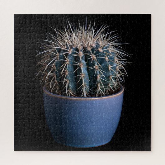 Cactus Puzzel (Verticaal)