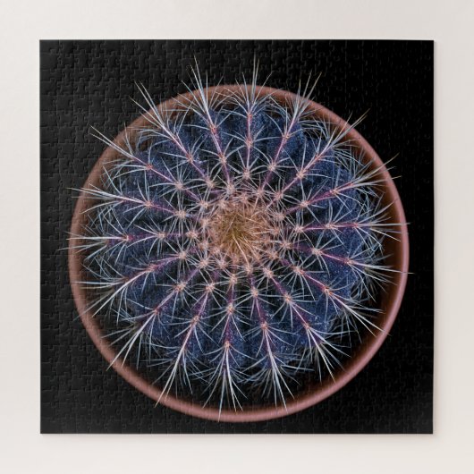 Cactus Puzzel (Verticaal)