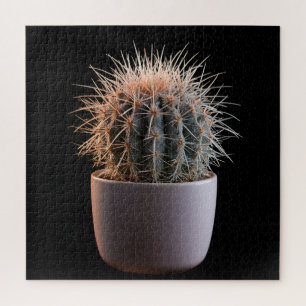 Cactus Puzzel