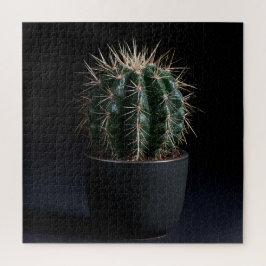 Cactus Puzzel