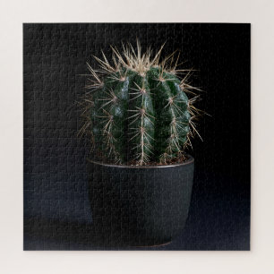 Cactus Puzzel