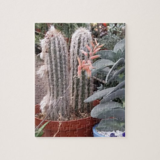 Cactus Puzzle Legpuzzel (Verticaal)
