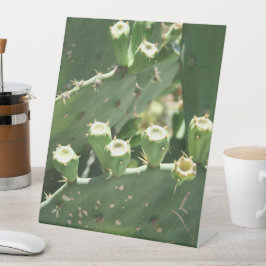 Cactus Reclamebord Met Voetstuk