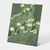 Cactus Reclamebord Met Voetstuk (Voorkant)