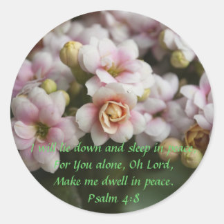 Cactus Roos Ronde Sticker