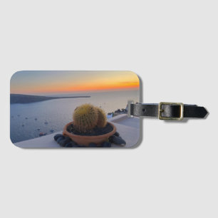 Cactus Santorini Greece Sunset Photography Bagagelabel