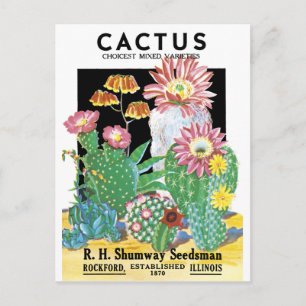 Cactus Seed Package Briefkaart