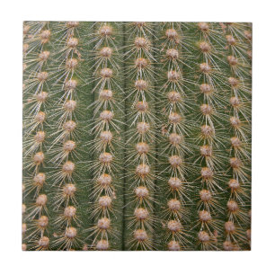 Cactus sluiten tegeltje