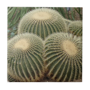 Cactus Small (4,25 x 4,25 inch) keramische foto-Te Tegeltje