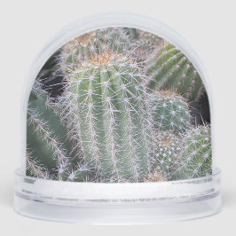 Cactus Snow Globe Sneeuwbol