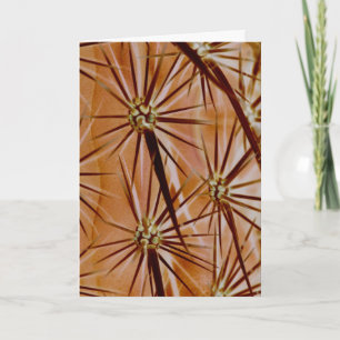 Cactus spines Wenskaart Kaart