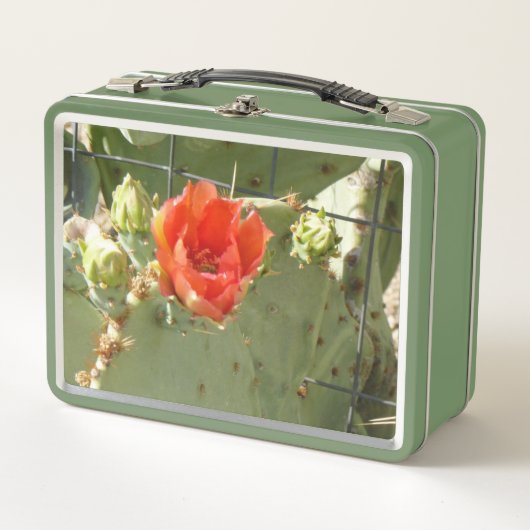 Cactus Stoere en mooie groene lunchbox (Voorkant)