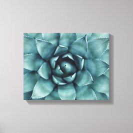 Cactus Succulent Cacti Canvas Art Afdruk