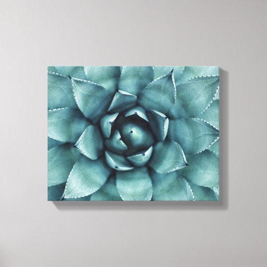 Cactus Succulent Cacti Canvas Art Afdruk (Voorkant)