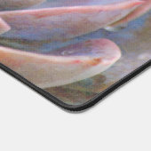 Cactus Succulent Gros plan de travail du bureau d' (Coin)