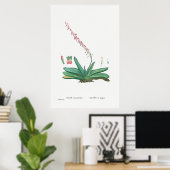  Cactus/Succulent Illustratie Poster (Thuiskantoor)