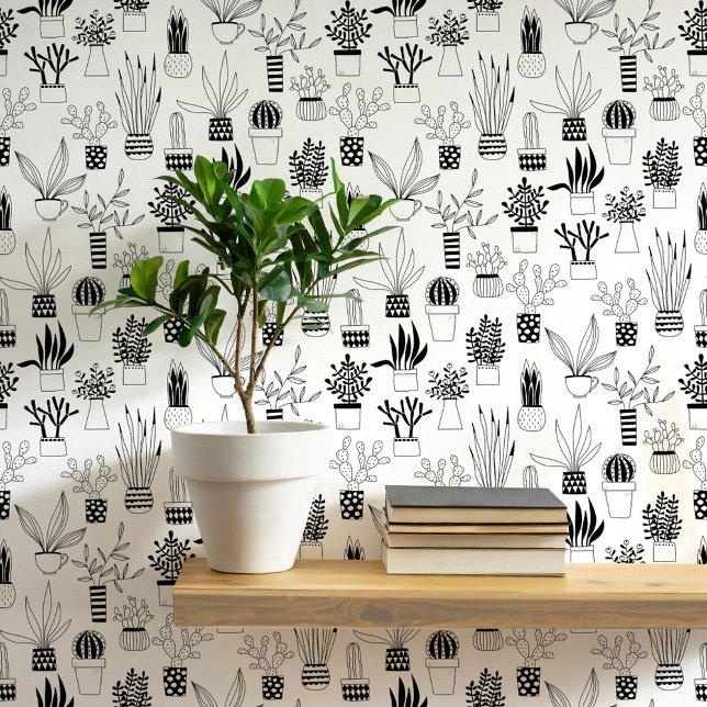 Cactus Succulent Zwart-wit Kunst Behang (Cactus cacti succulent house plant black and white art wallpaper)