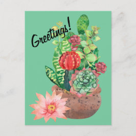 Cactus, Succulenten, Cactus Flower, Arrangement Briefkaart