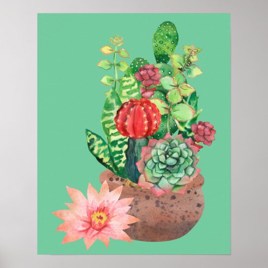 Cactus, Succulenten, Cactus Flower, Arrangement Poster (Voorkant)