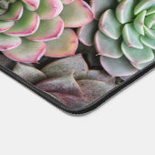 Cactus Succulents (Coin)