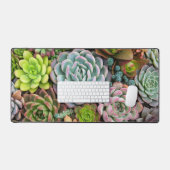 Cactus Succulents (Clavier et souris)