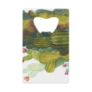 Cactus, succulents : aquarelle vintage.