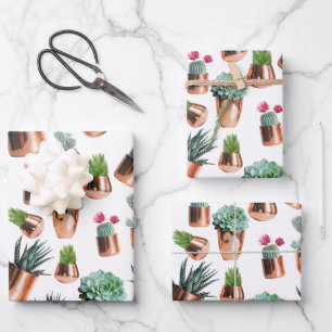 Cactus & Succulents in Roos Gold Pots Inpakpapier Vel