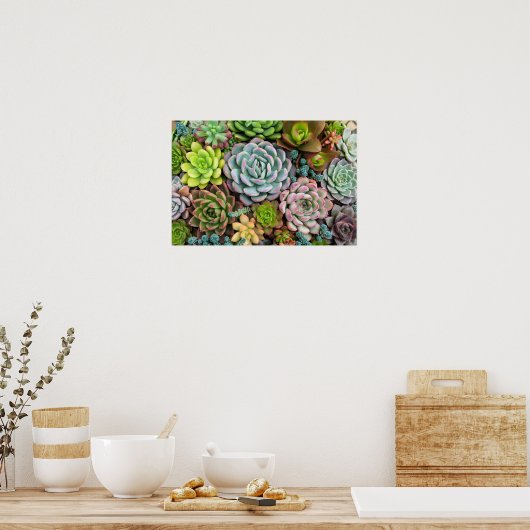 Cactus Succulents poster (Keuken)