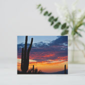 Cactus Sunrise Briefkaart (Staand voorkant)