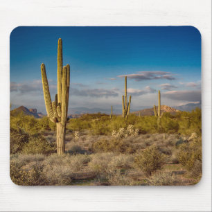 Cactus Sunset in Arizona Muismat